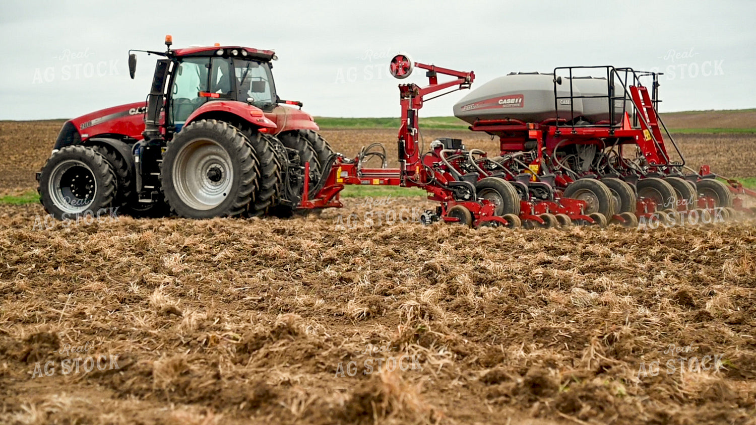 Planting into Tilled Cover Crops 25170