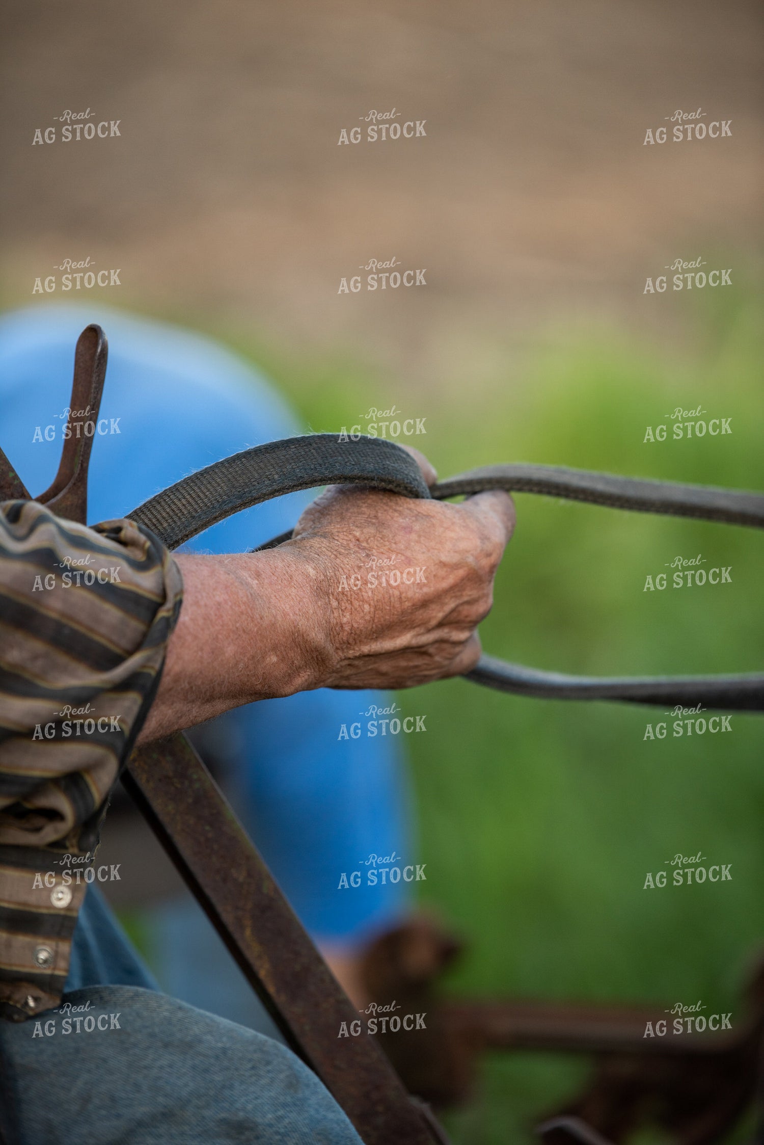 Farmer Holding Reins 76575