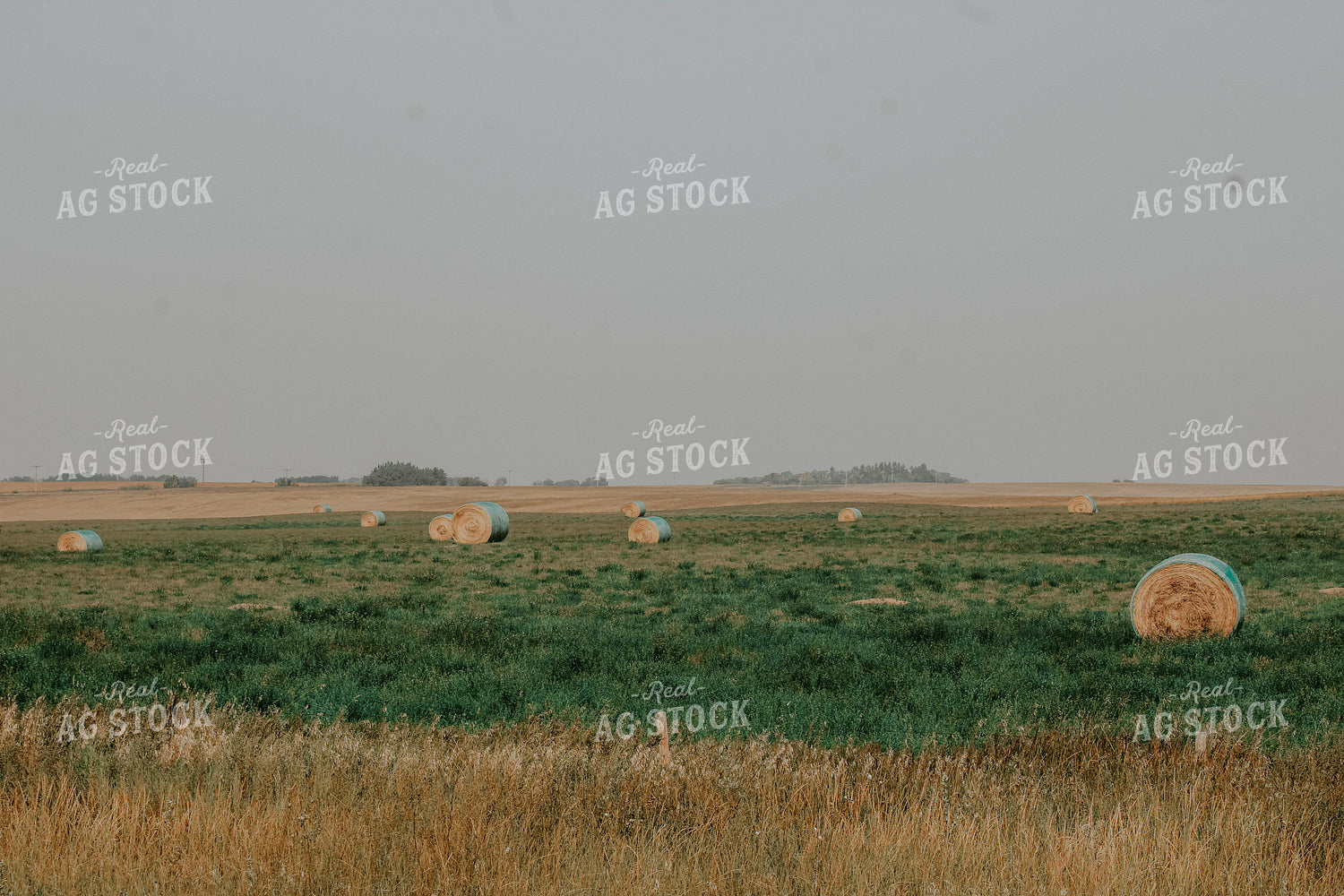 Hay Bales 187010