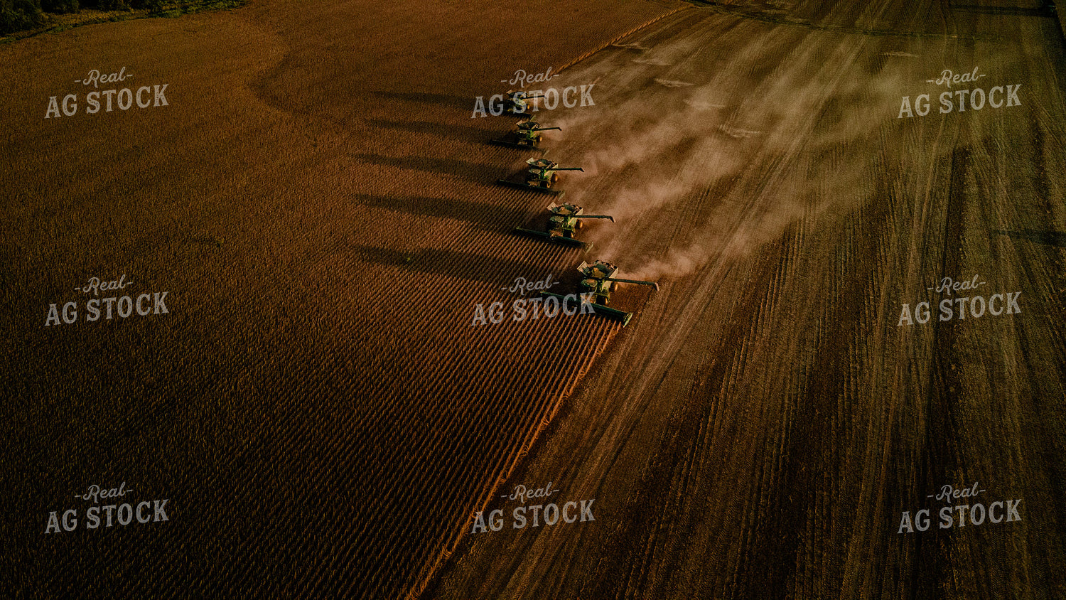 Soybean Harvest 9306