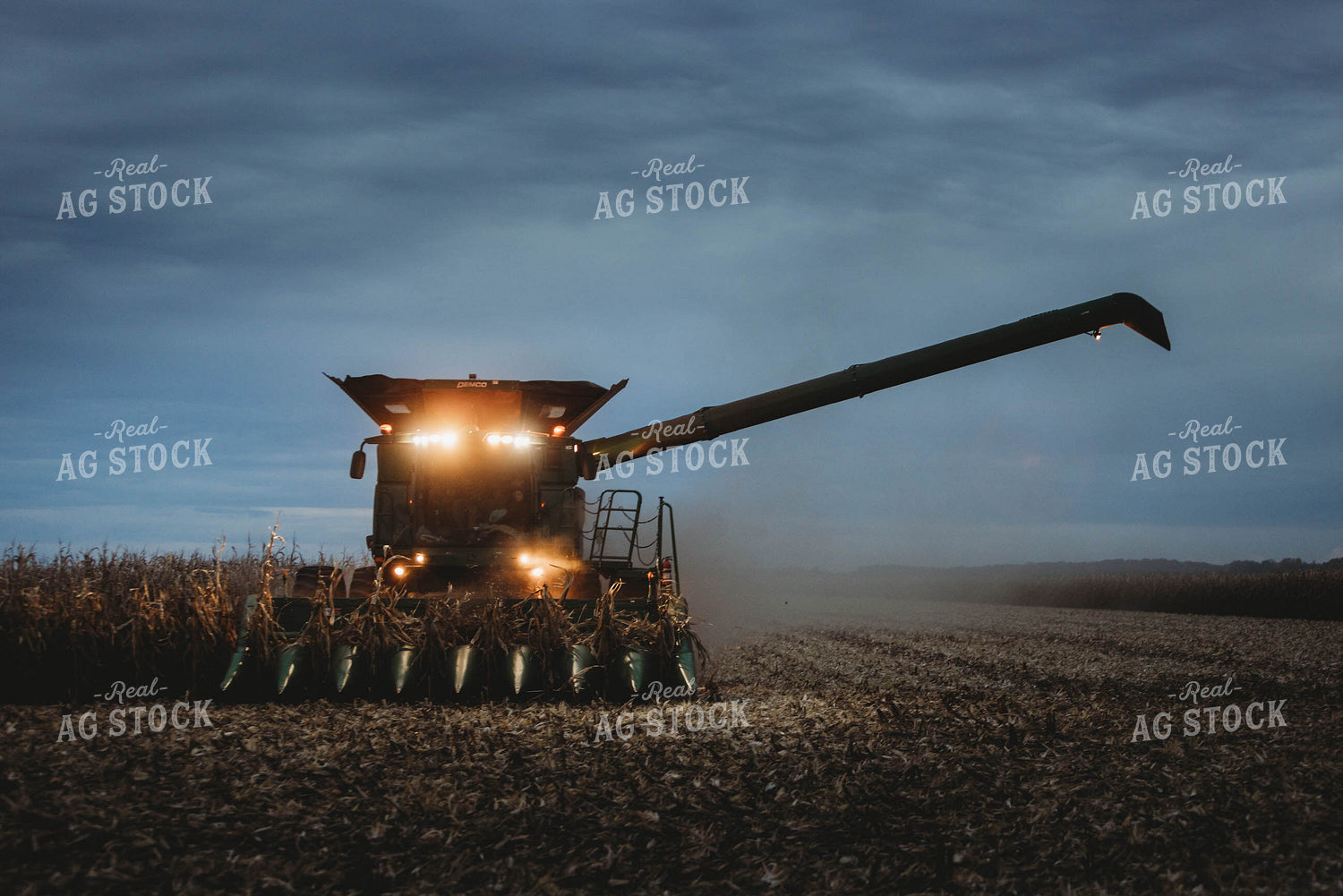 Corn Harvest 8639