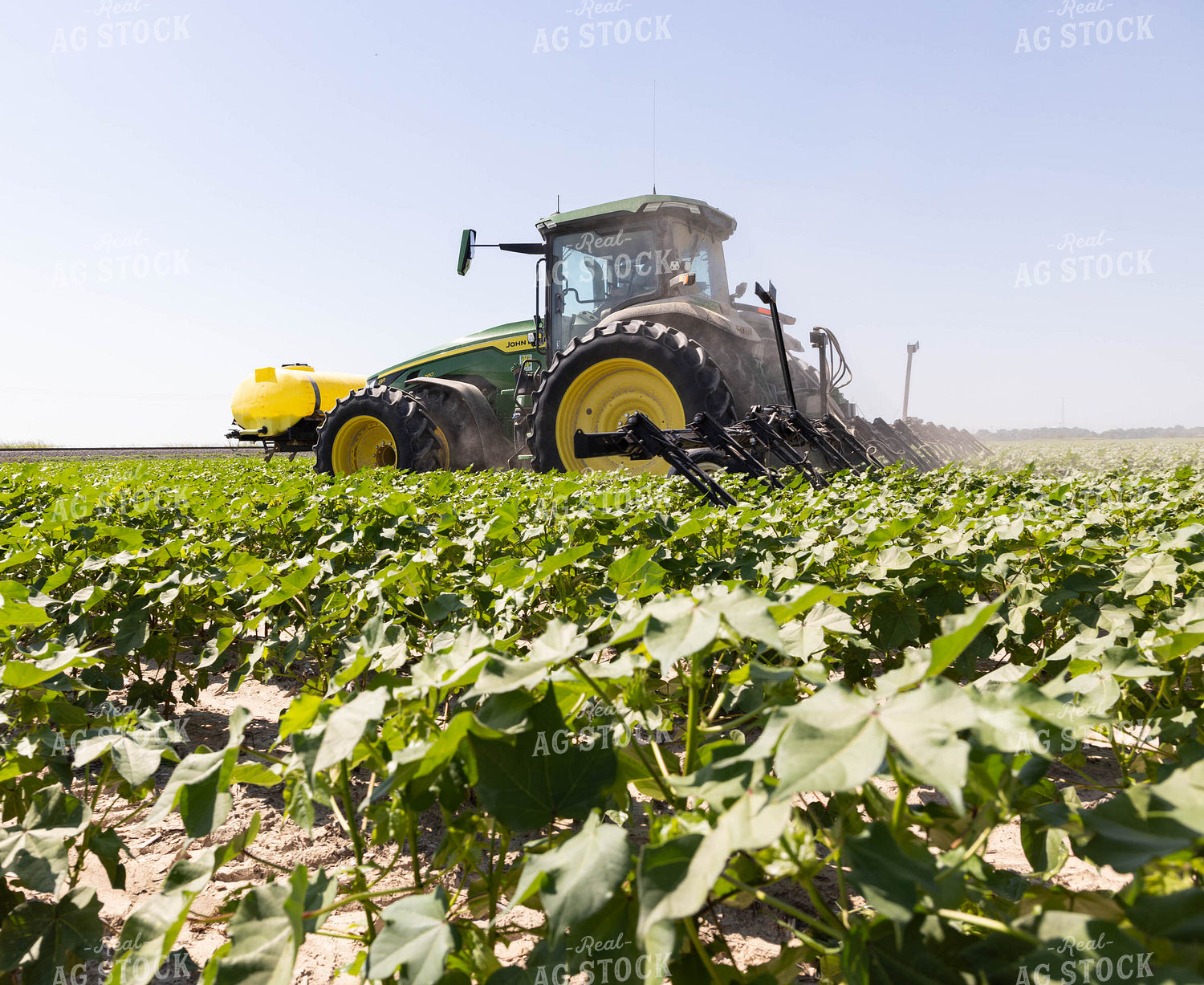 Spraying 79676