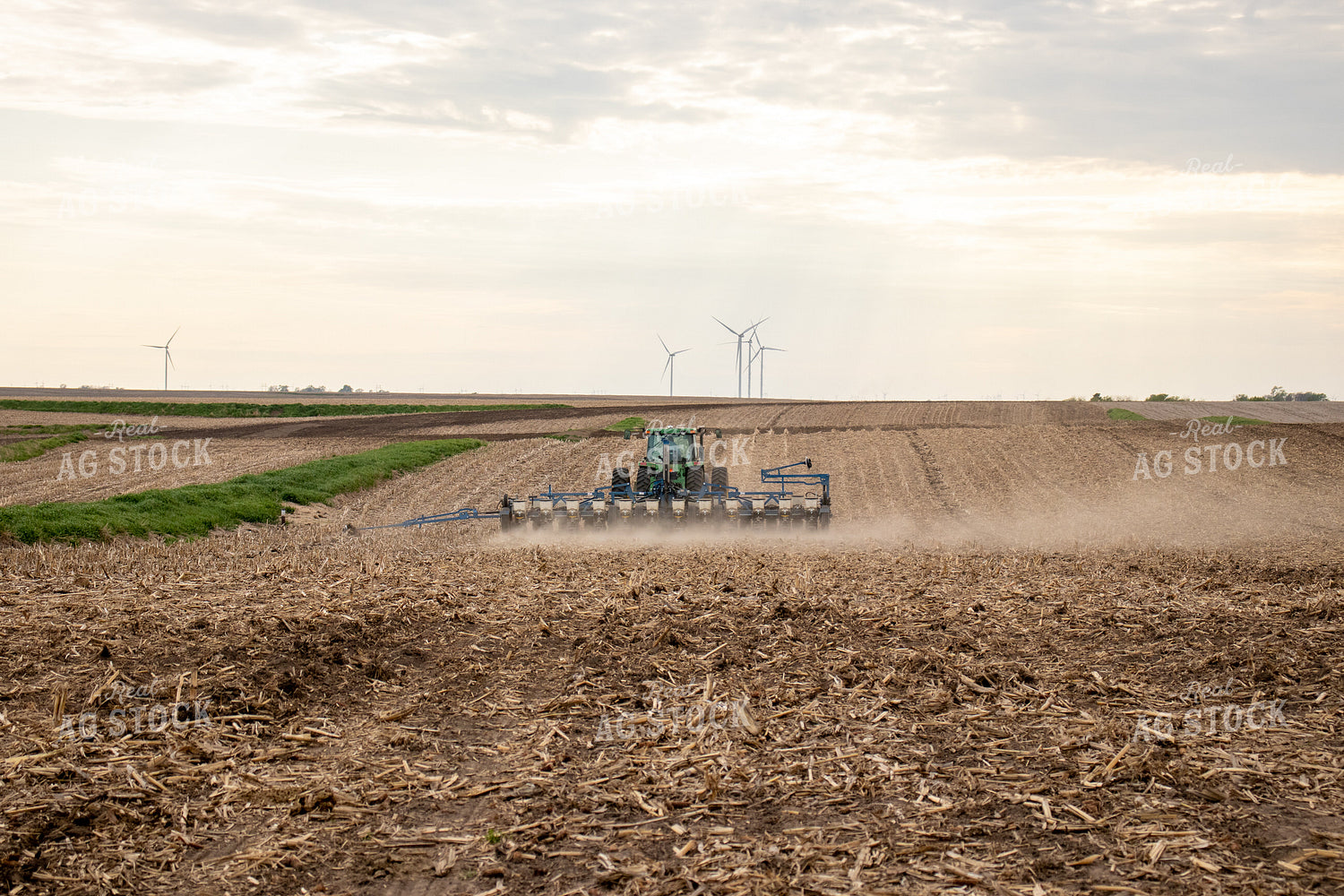 Planting 67105