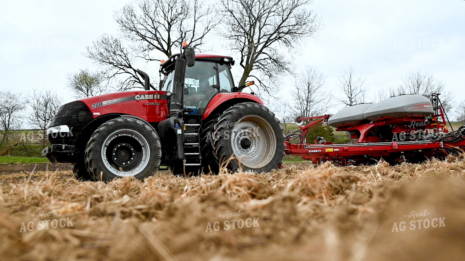 Planting into Tilled Cover Crops 25165