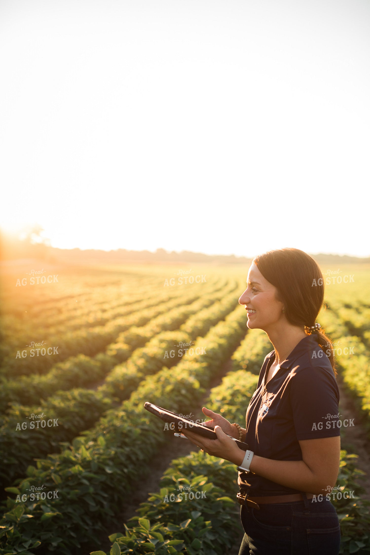 Agronomist or Farmer in Soybean Field with Tablet 6090