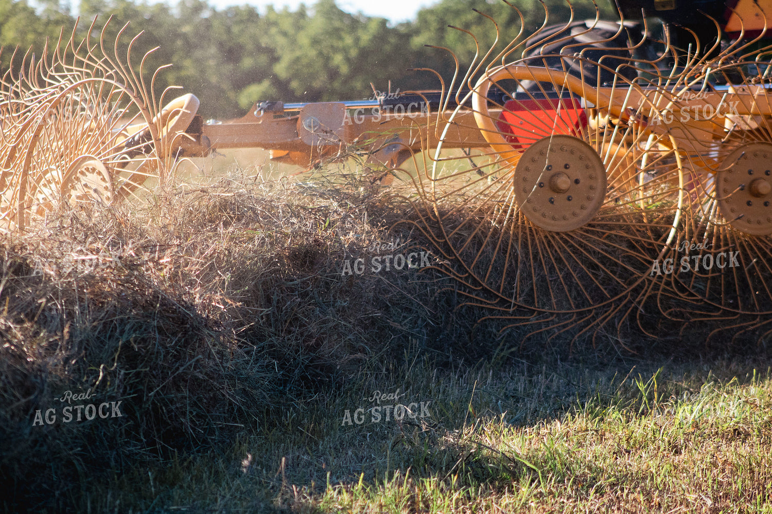 Hay Rake in Action on Field 214048