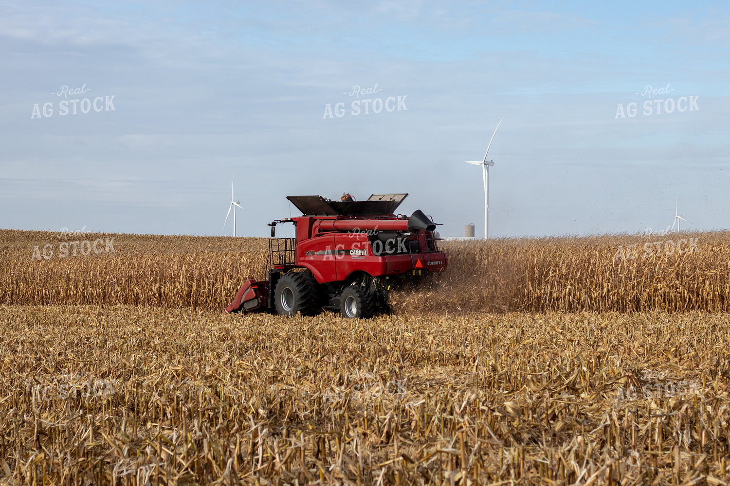 Combine Harvesting Corn 67141