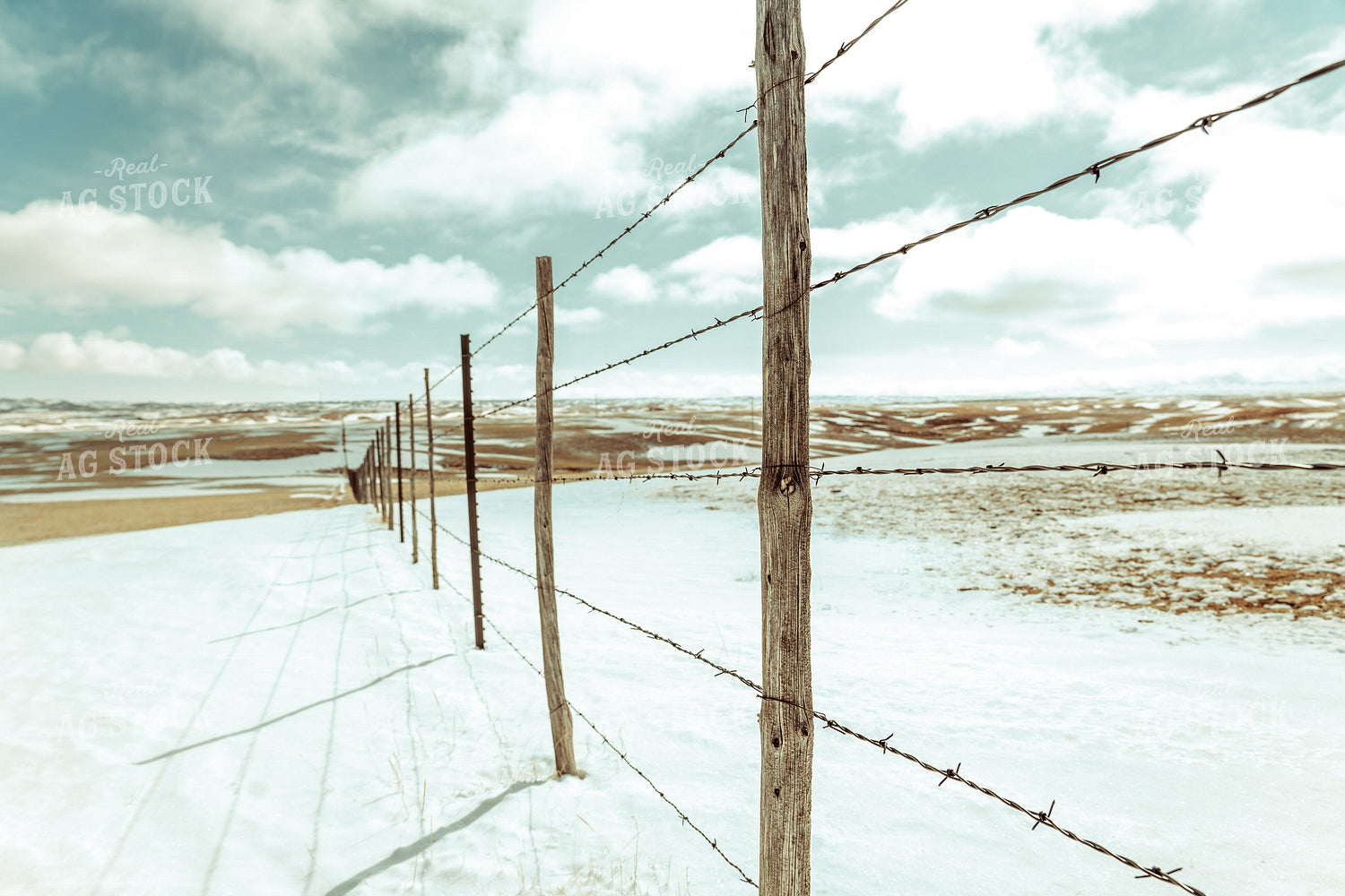 Fence in Snowy Pasture 58062