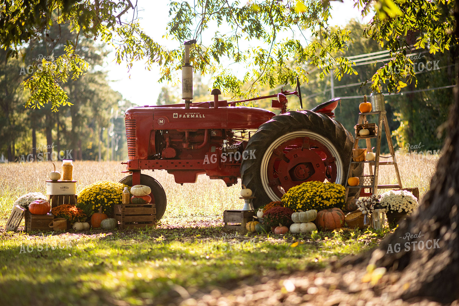 Fall Agritourism Display 136159