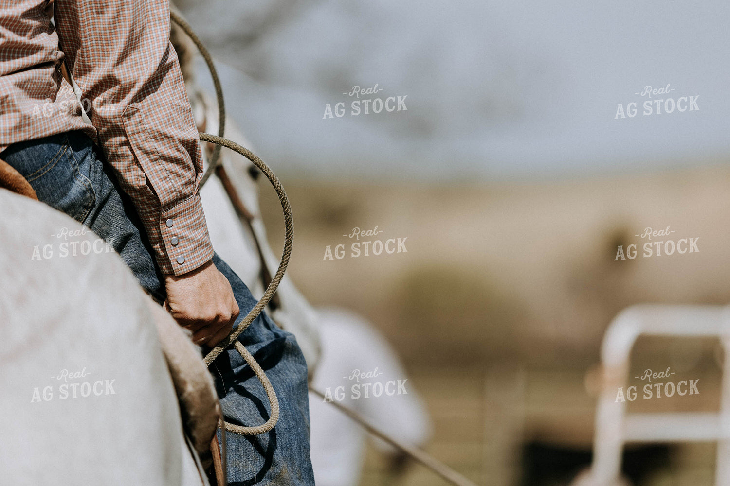 Side of Rancher with Rope 77082