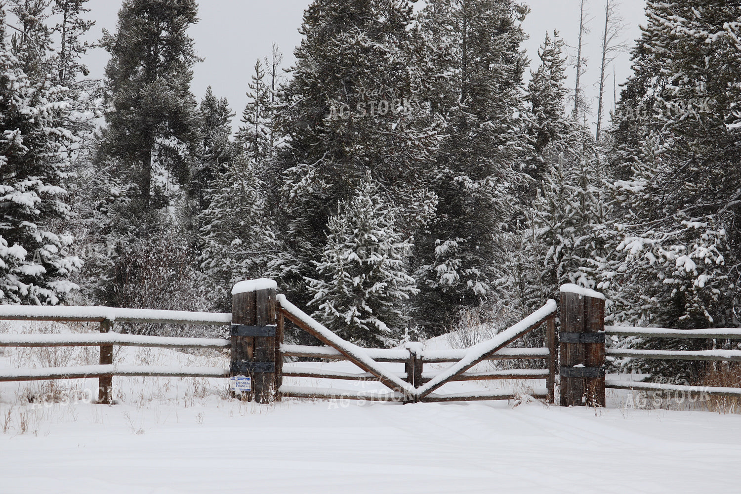 Snowy Fence 102048