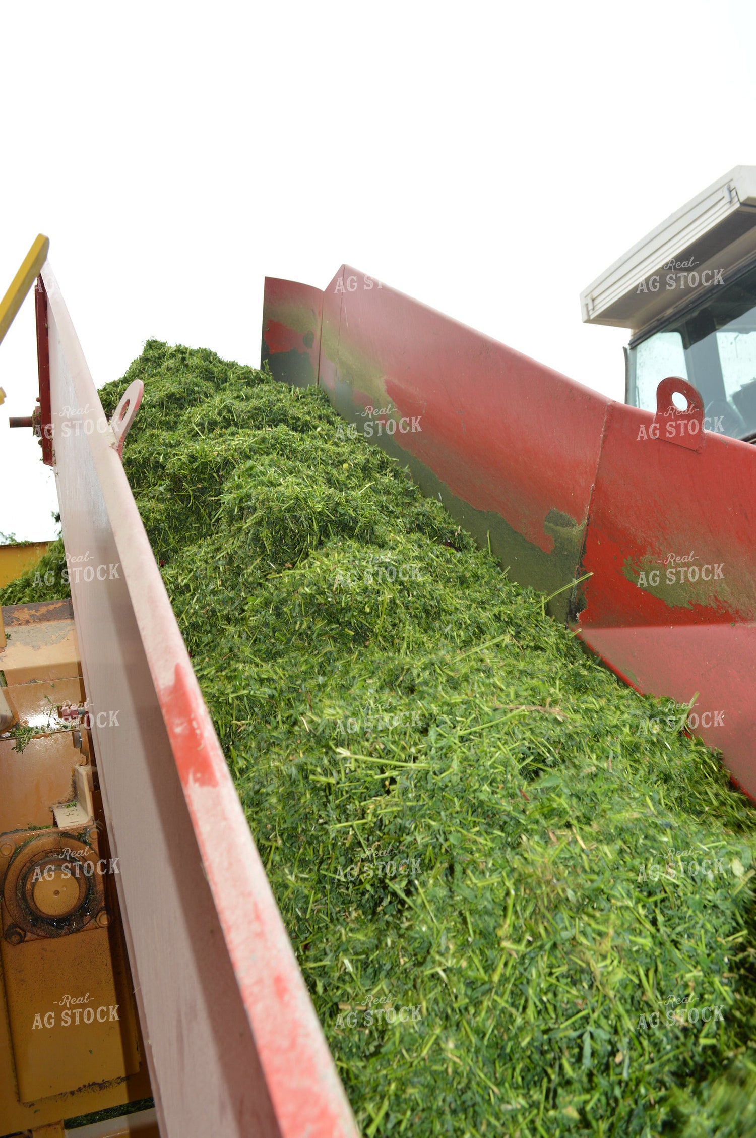 Putting Up Haylage 206053