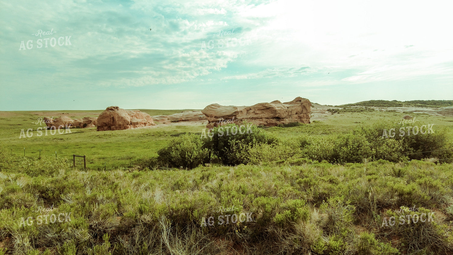 Scenic Pasture 58029