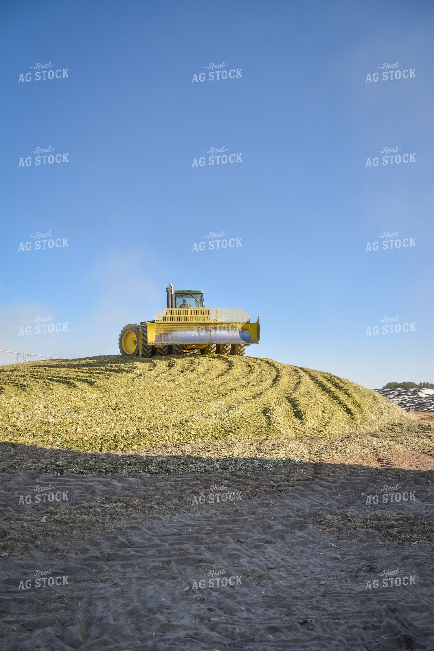 Compacting Silage 56518