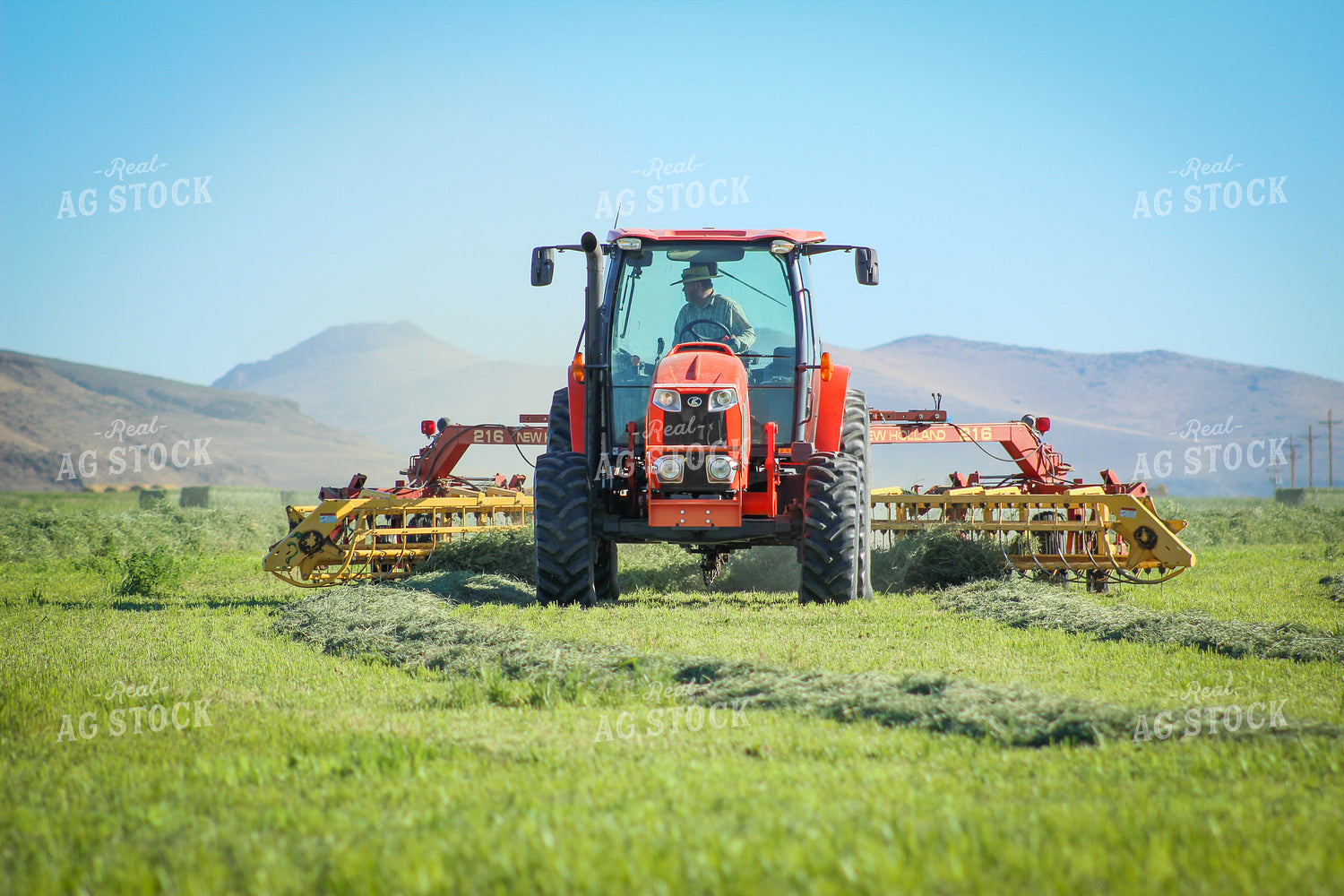 Raking / Windrowing Summer Hay Alfalfa and Mixed Grass 78134