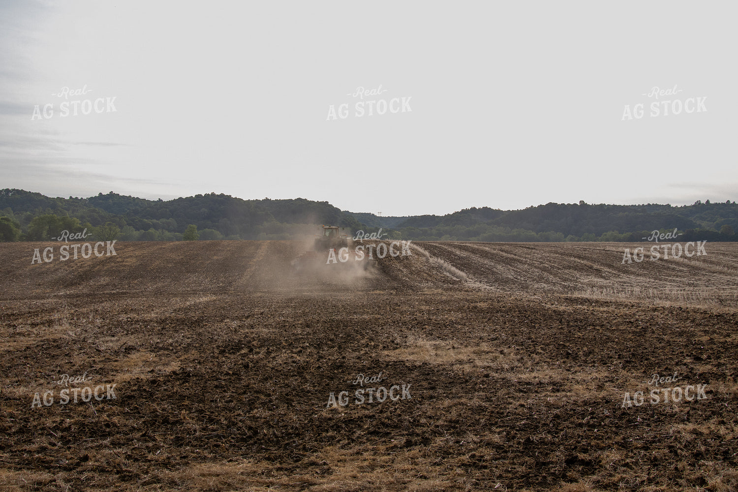 Vertical Tillage in Spring with Tractor 52089
