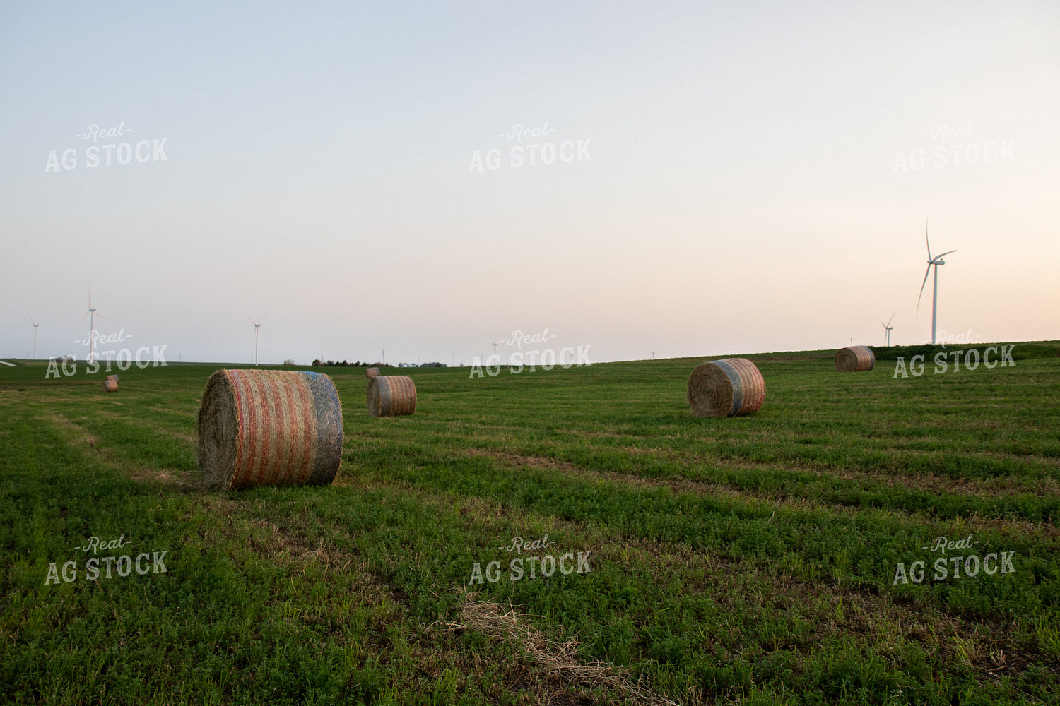 Round Bales in Field 67256