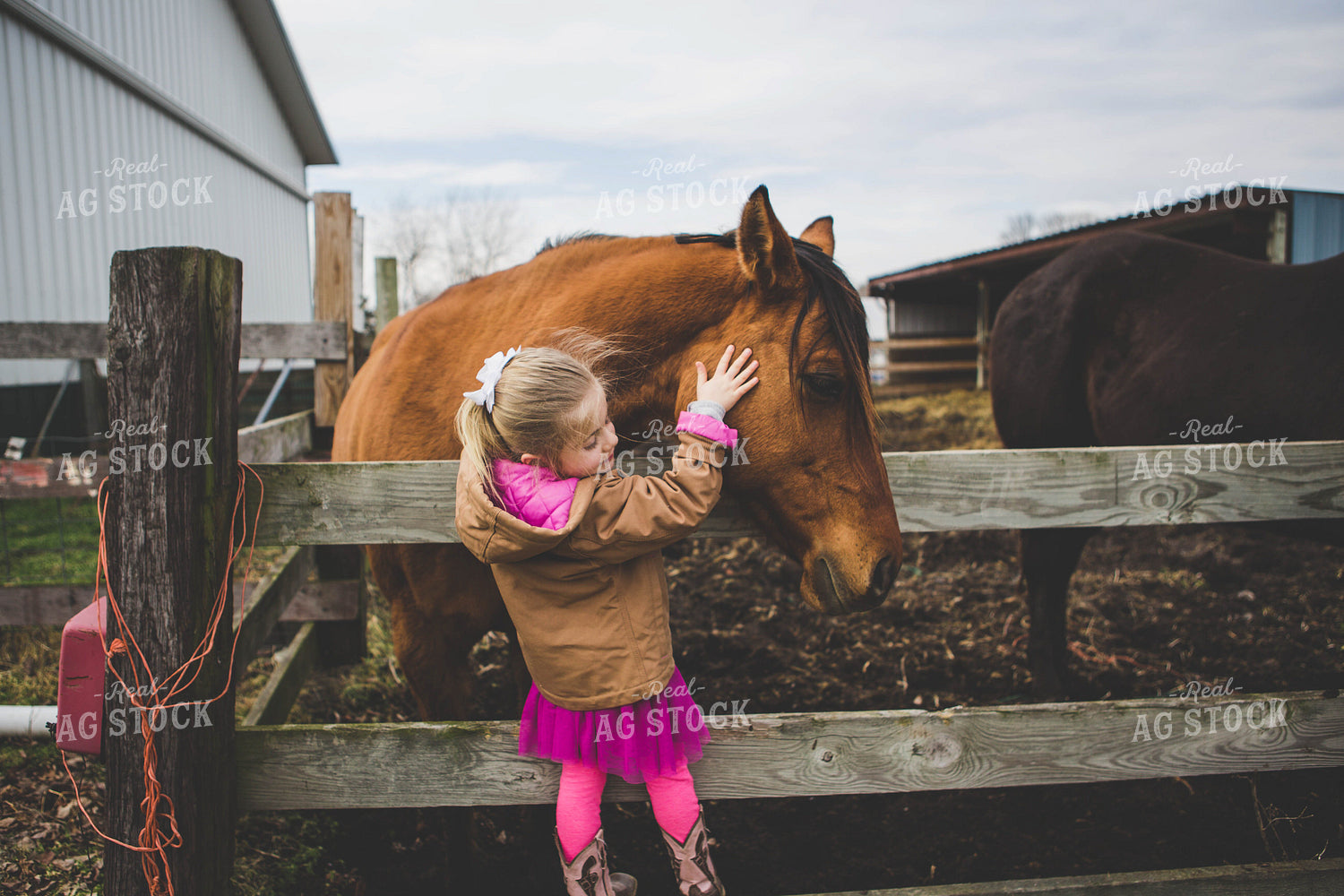 Farm Kid Petting Horse 169009