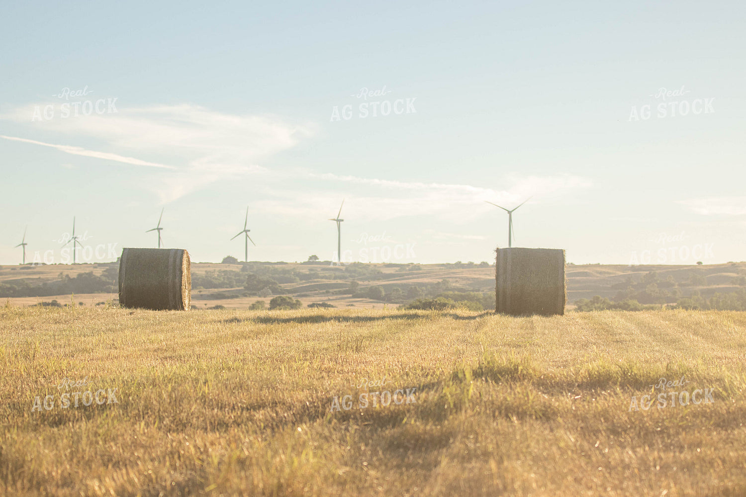 Hay Bales in Field 72080
