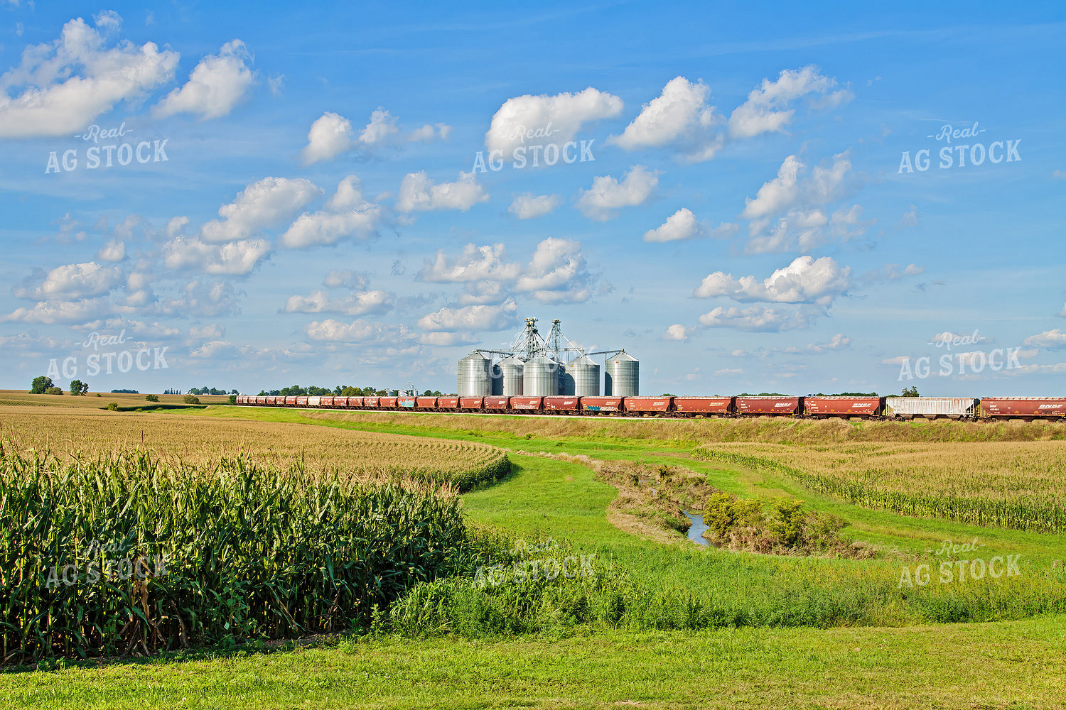 Corn Field with Train and Grain Bins 150007