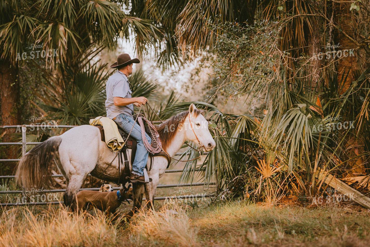 Rancher on Horse 7292