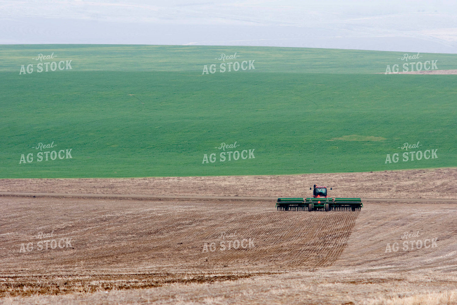 Seed Drill 146001