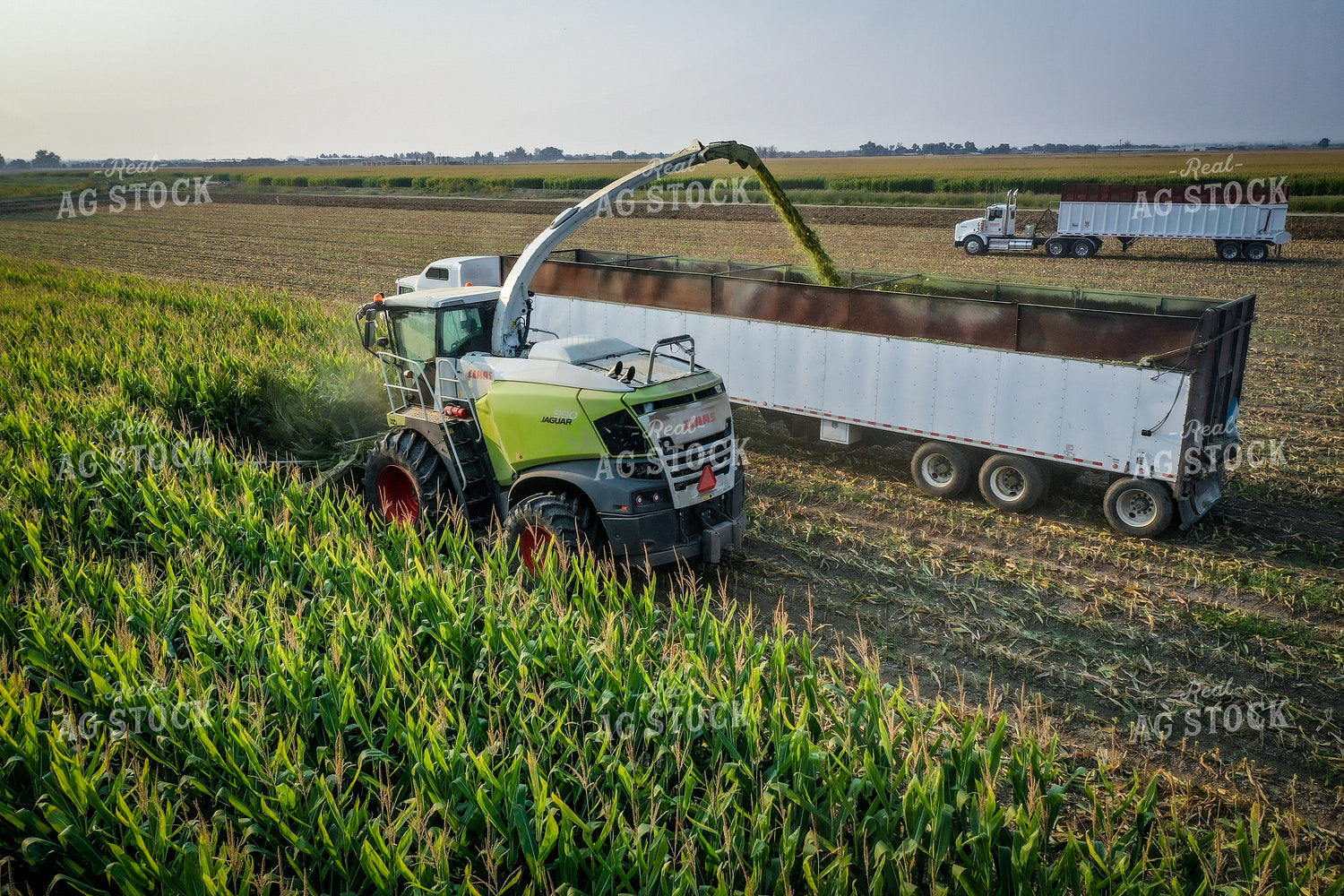 Silage Harvest Drone 56206