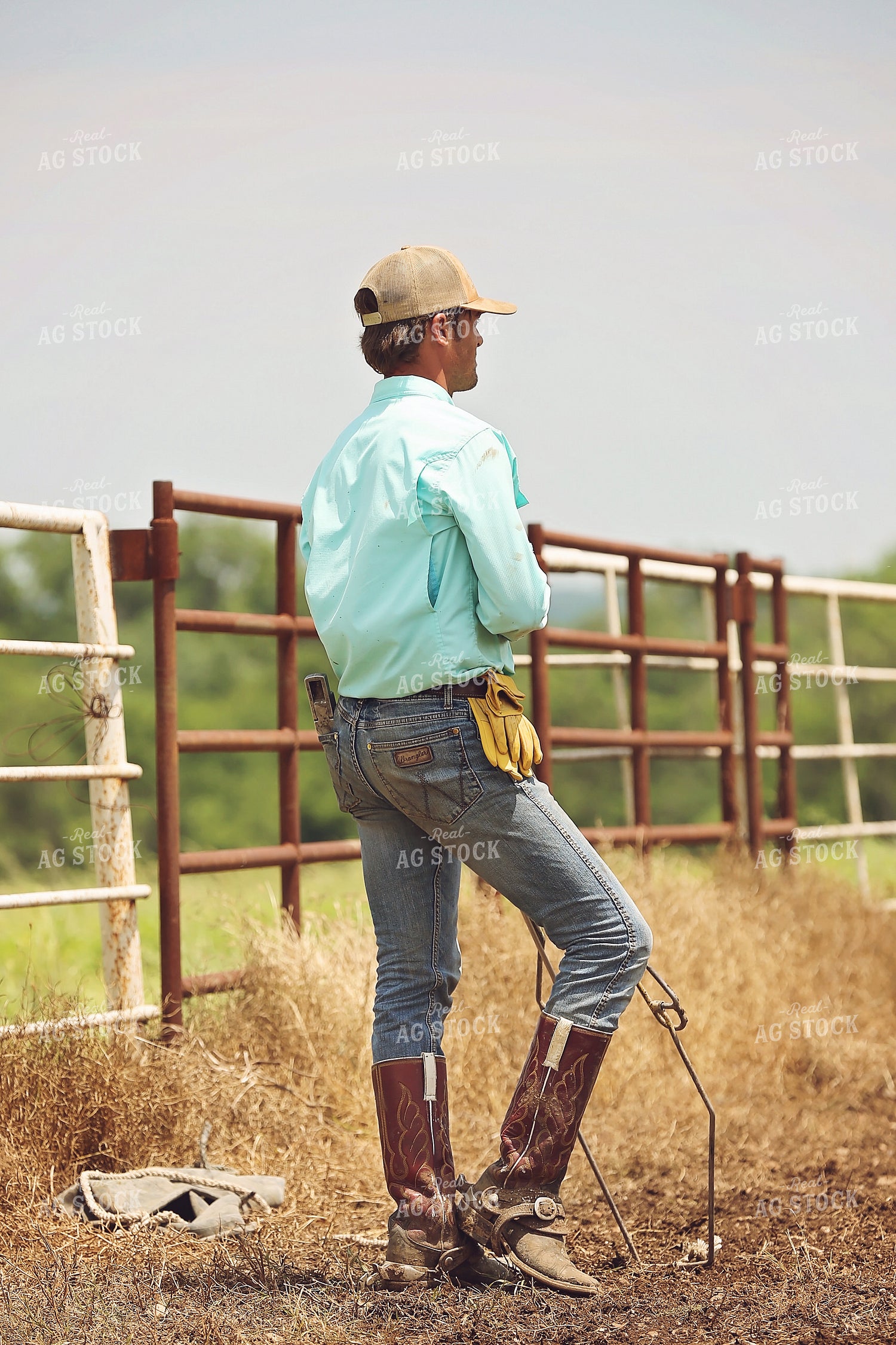 Ranchers Working Cattle 127053