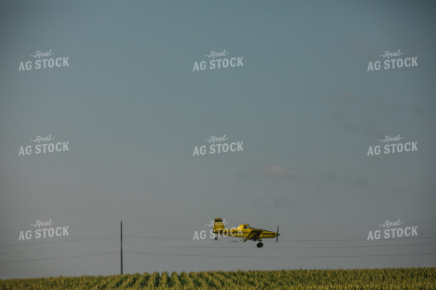 Crop Duster Corn Field 3130