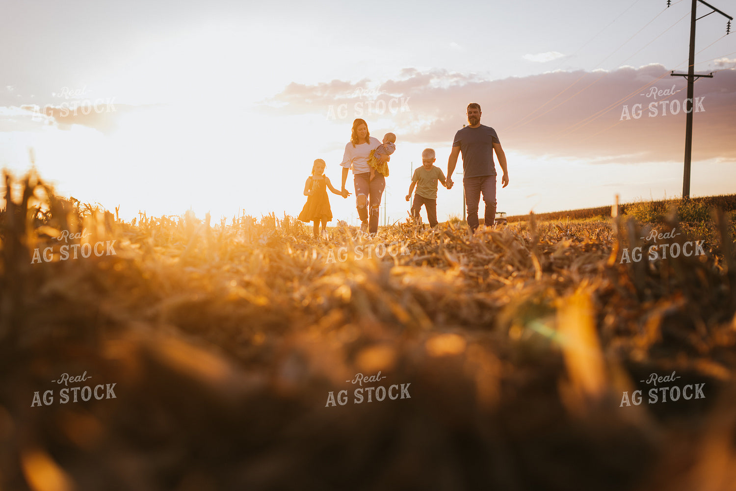 Farm Family Walking in Field 9381