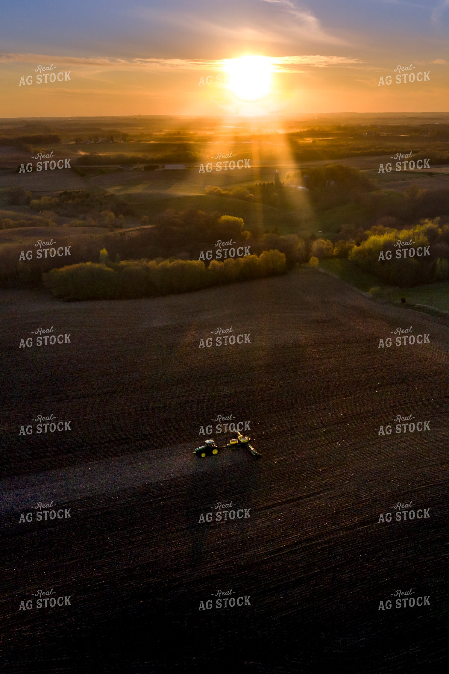 Aerial of Planting at Sunset 250145