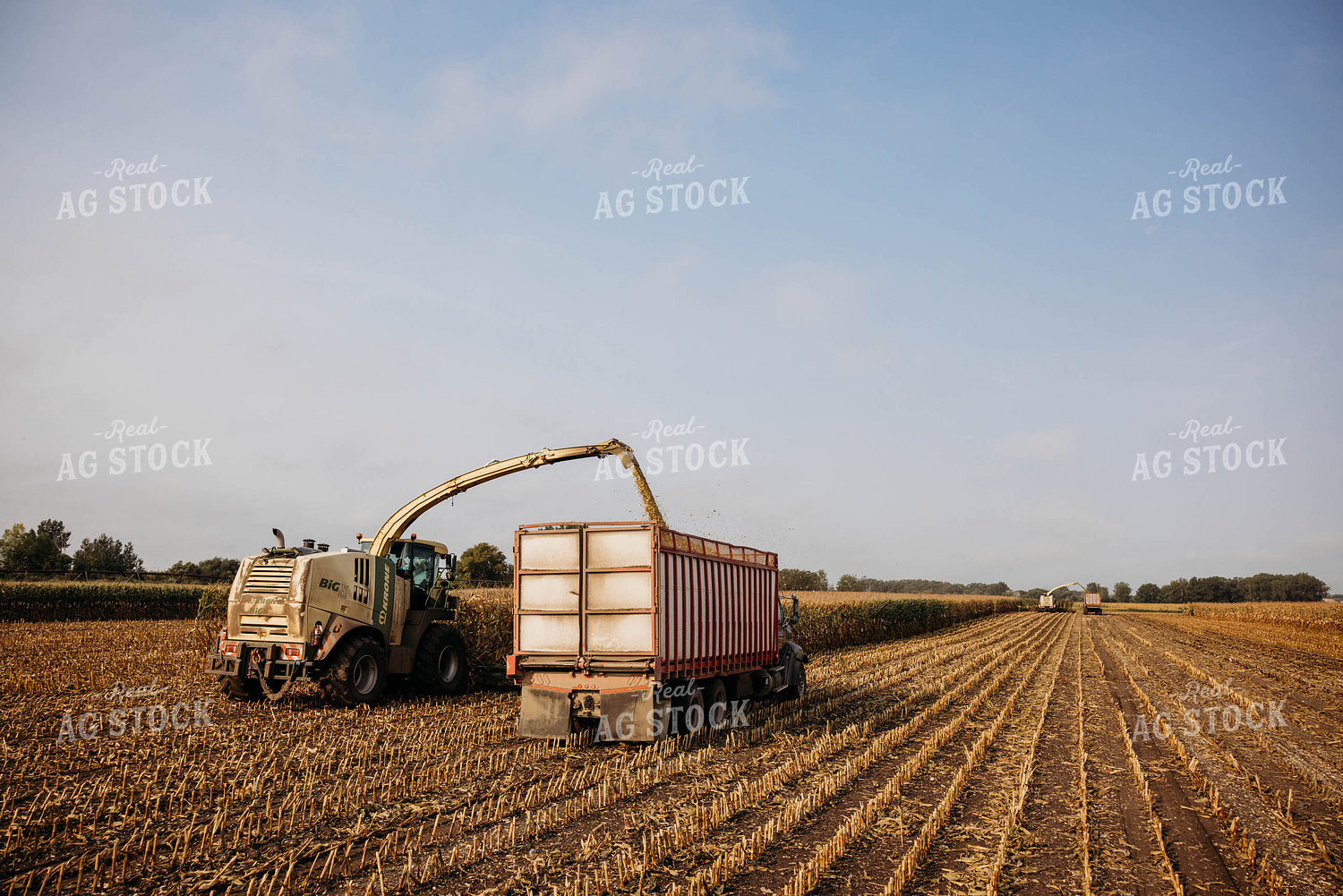 Chopping Corn Silage 152022
