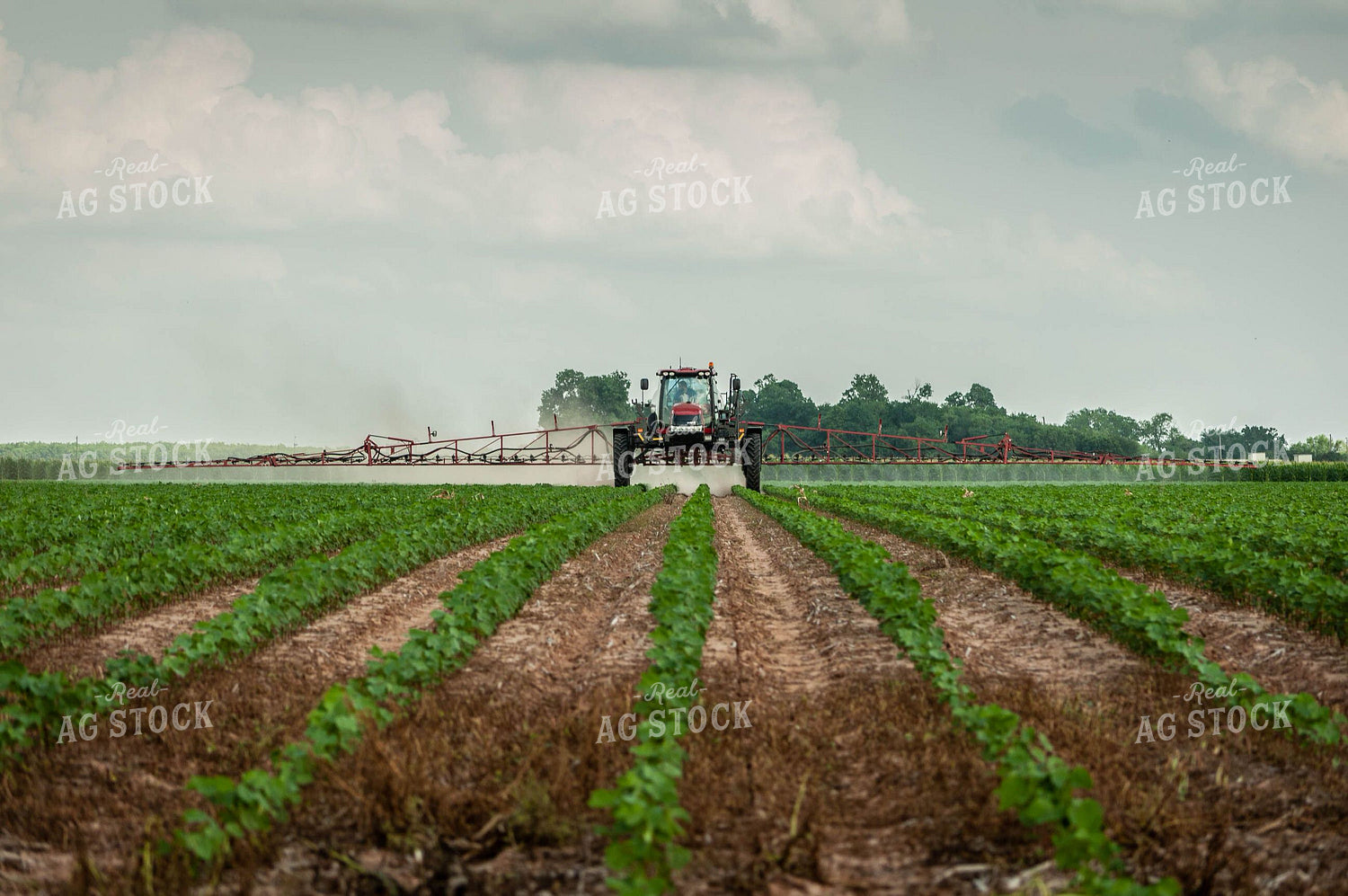 Spraying with Self-Propelled Sprayer 59034