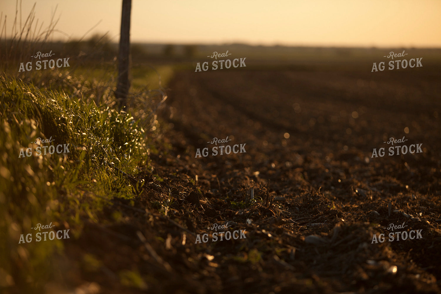 Rural 2026