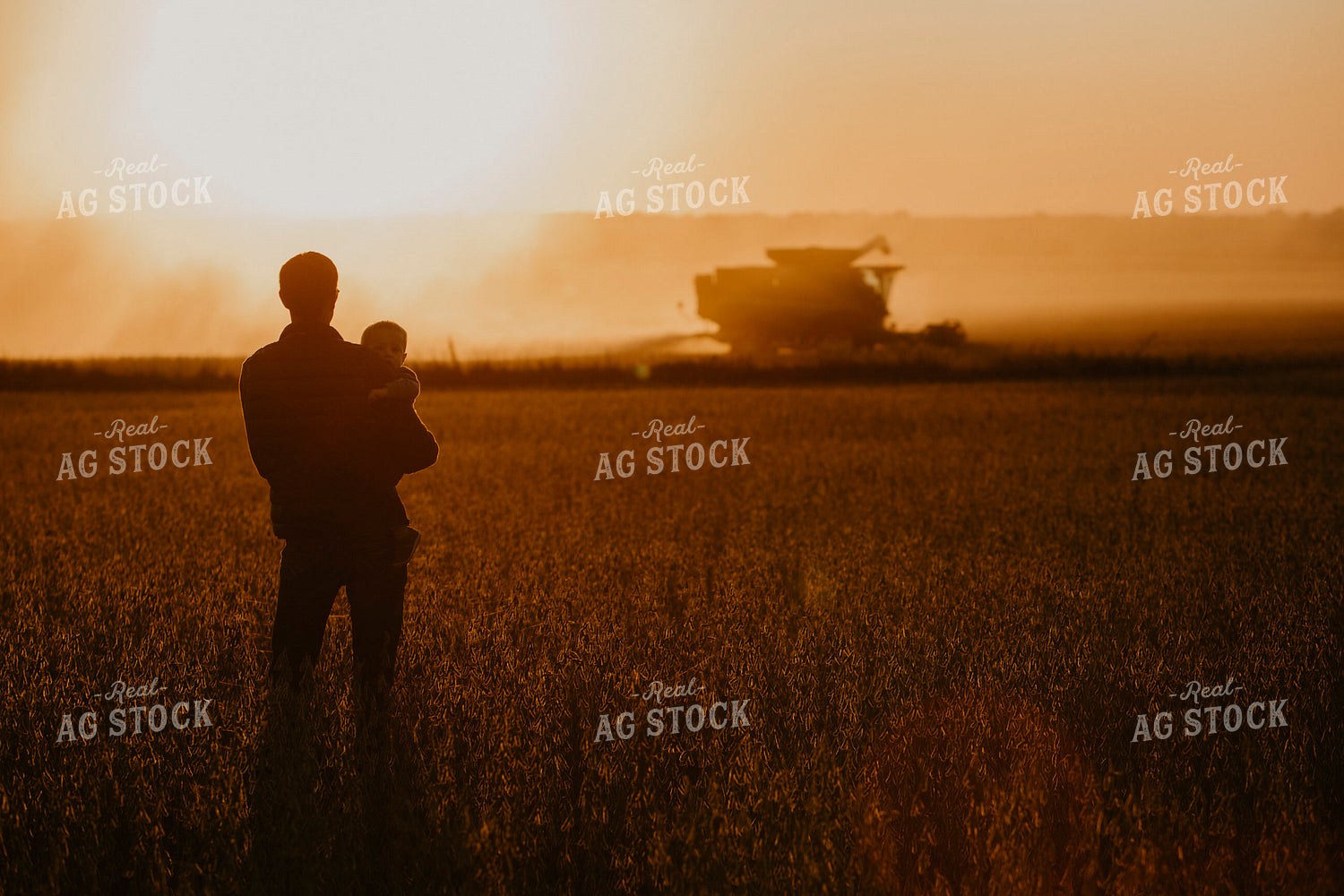 Harvest 2592