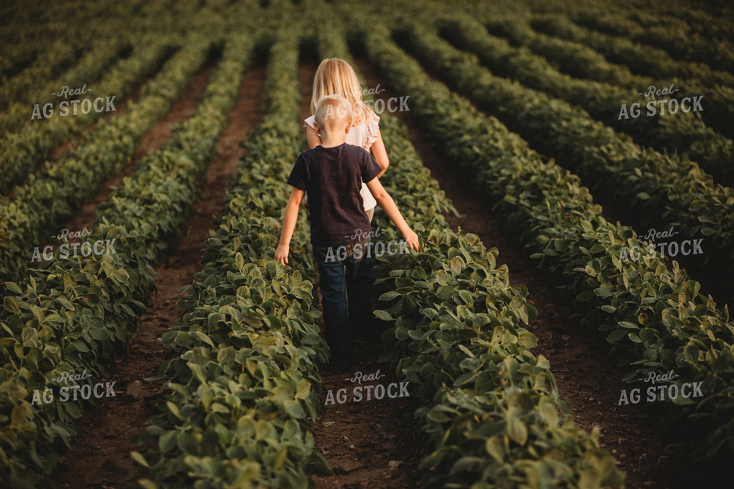 Farm Kids in Soybean Field 4563