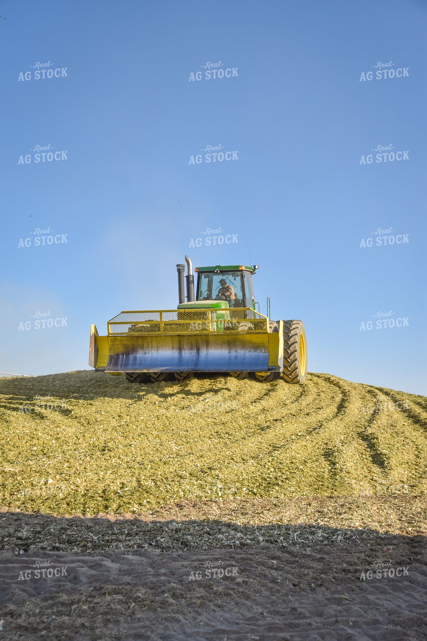 Compacting Silage 56519