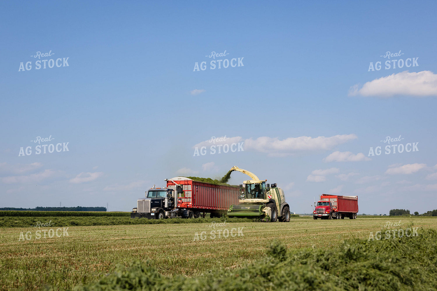 Harvesting Hay 152651