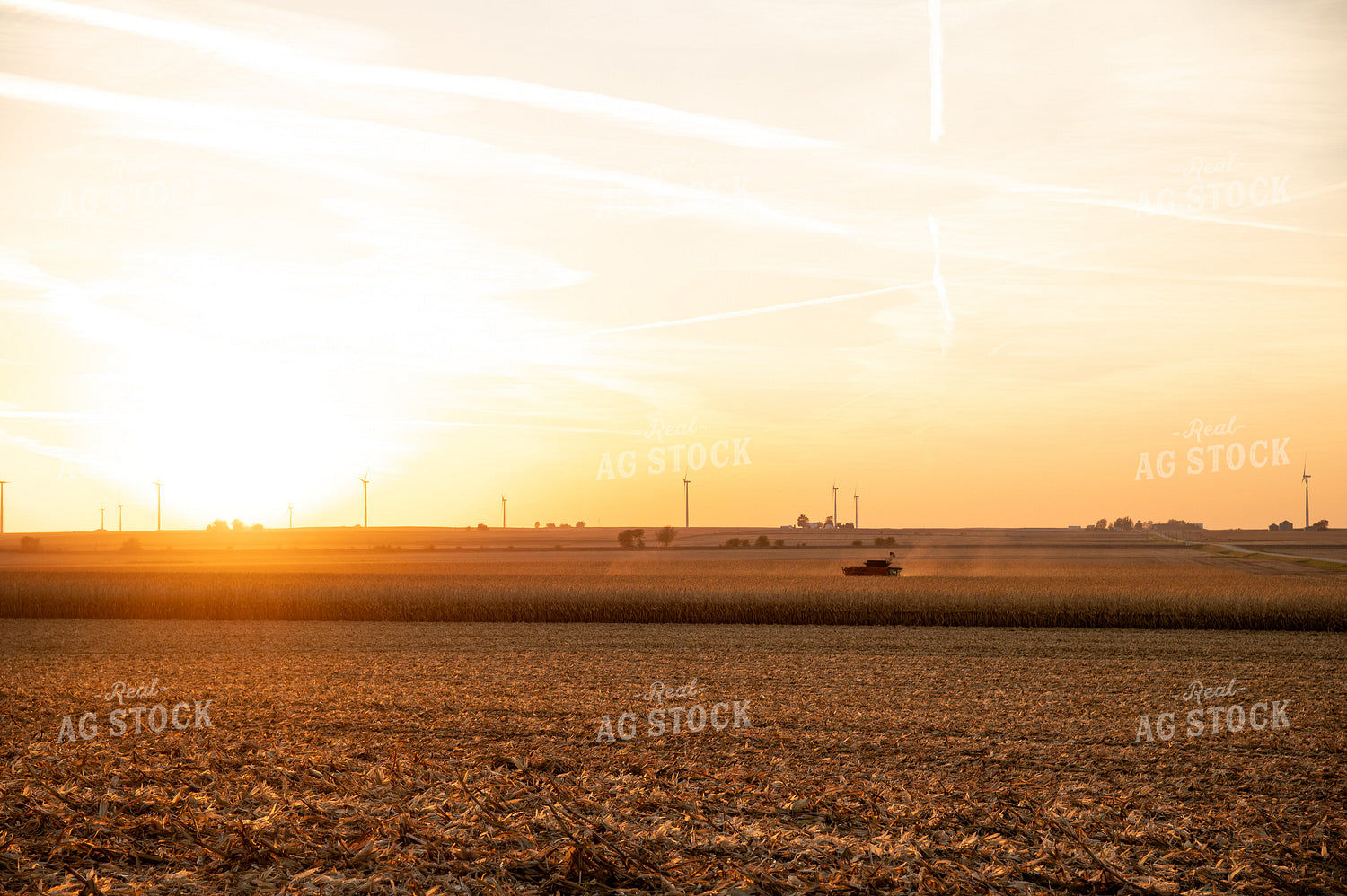 Combine Harvesting Corn at Sunset 25847