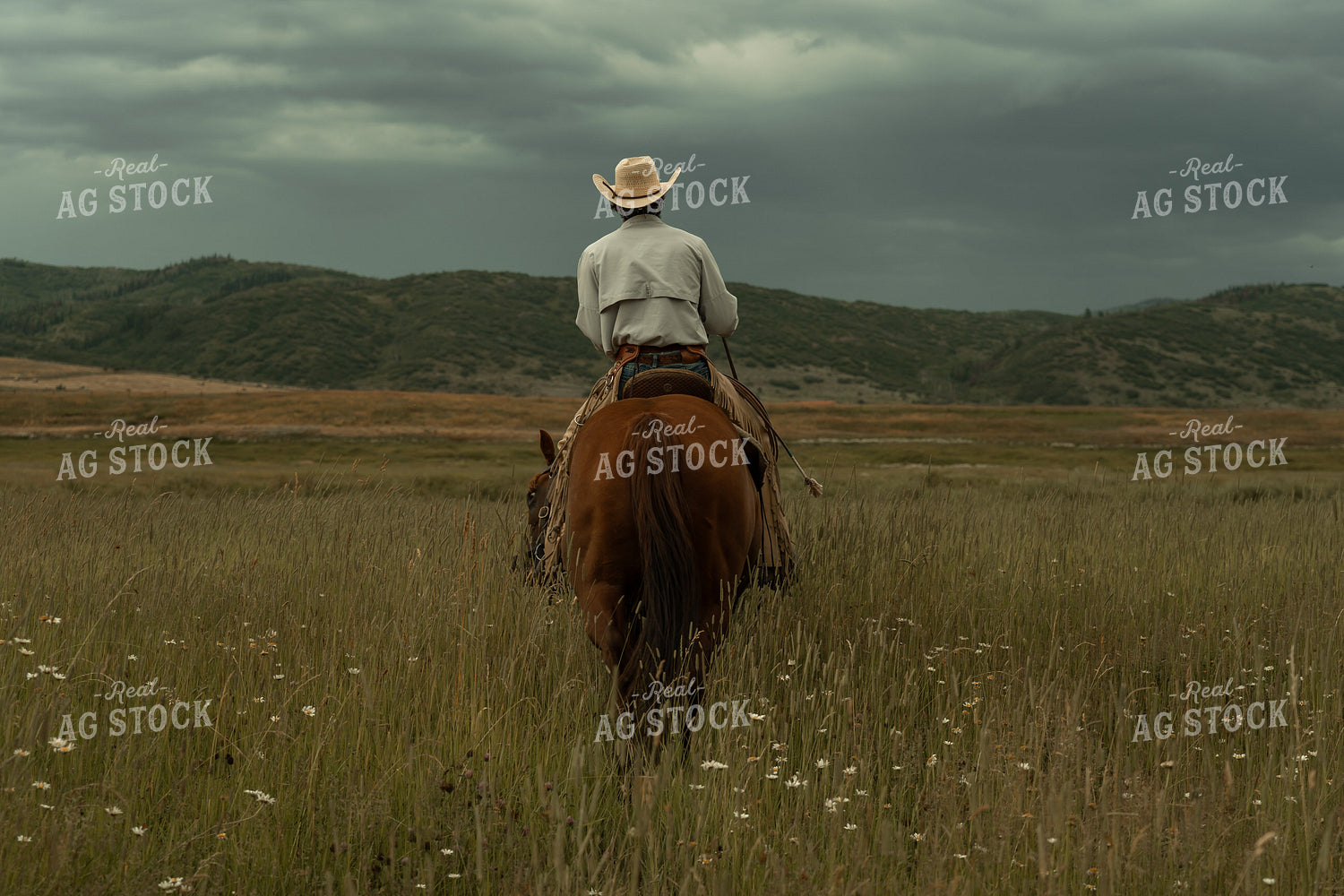 Rancher on Horseback 58284