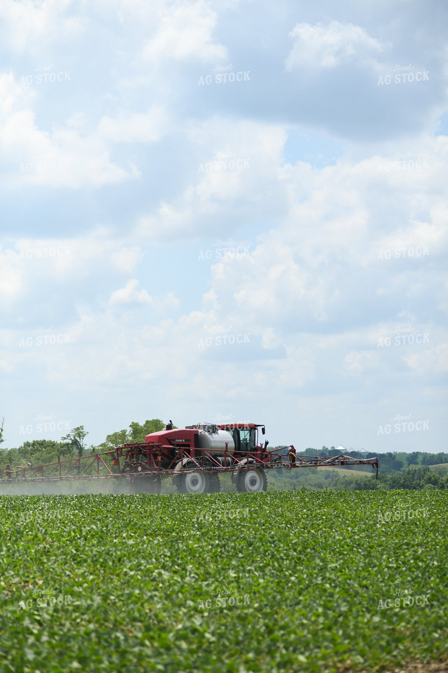 Spraying 191224