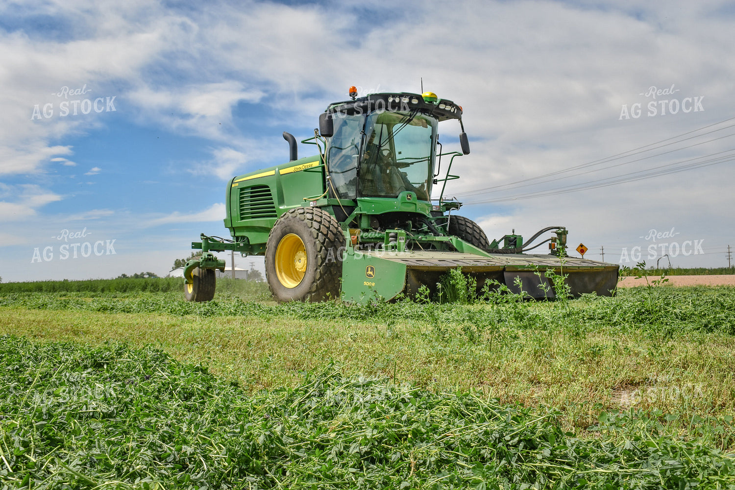 Alfalfa Field 56085