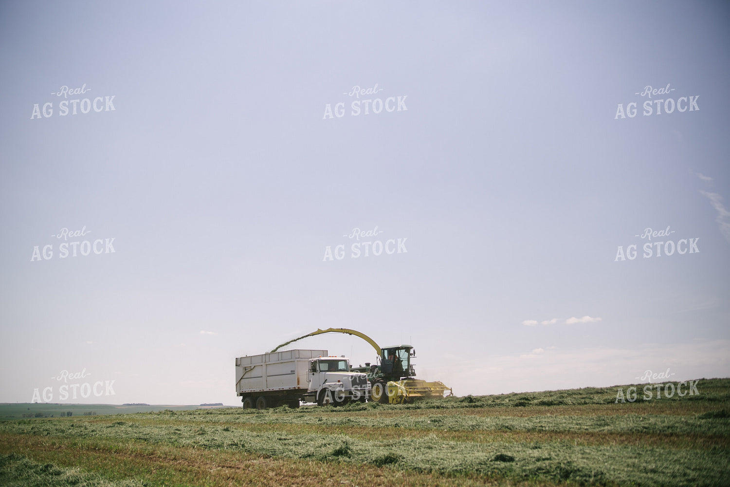 Harvesting Hay Silage 70061