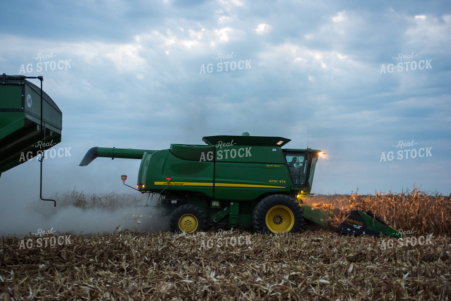 Corn Harvest 129066