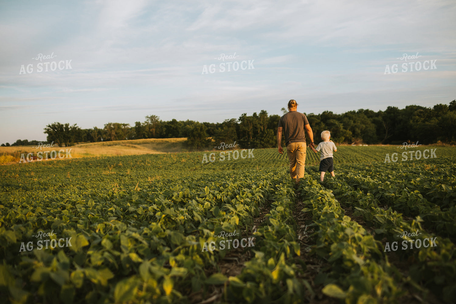 Farmer and Farm Kid in Soybean Field 6003