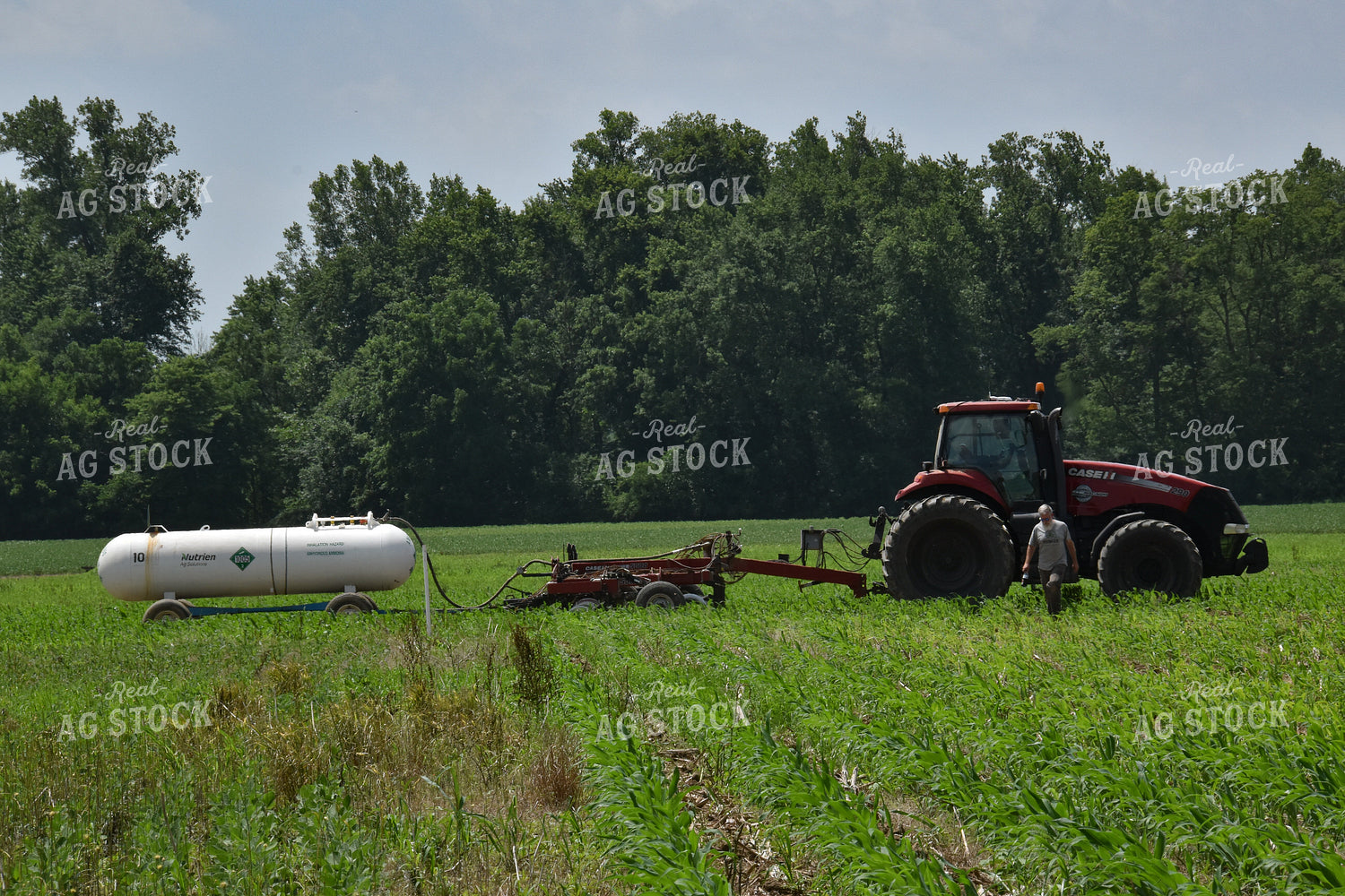 Farmer in Corn field with Anhydrous Applicator 84017