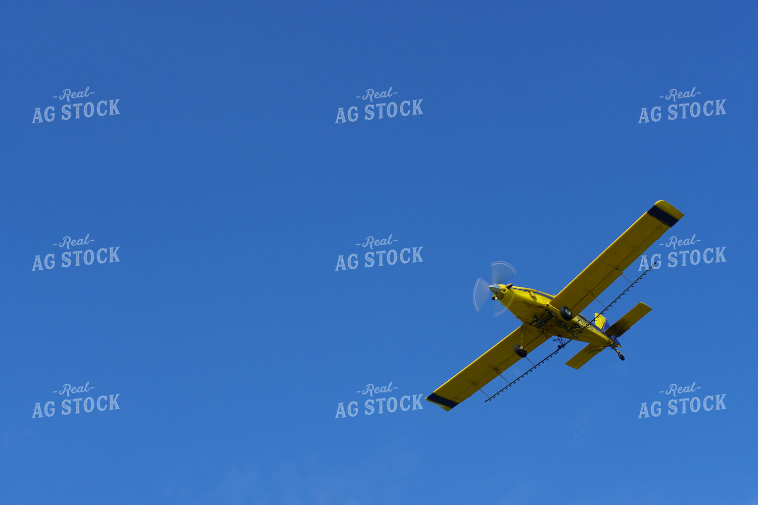 Crop Duster Blue Sky 65001