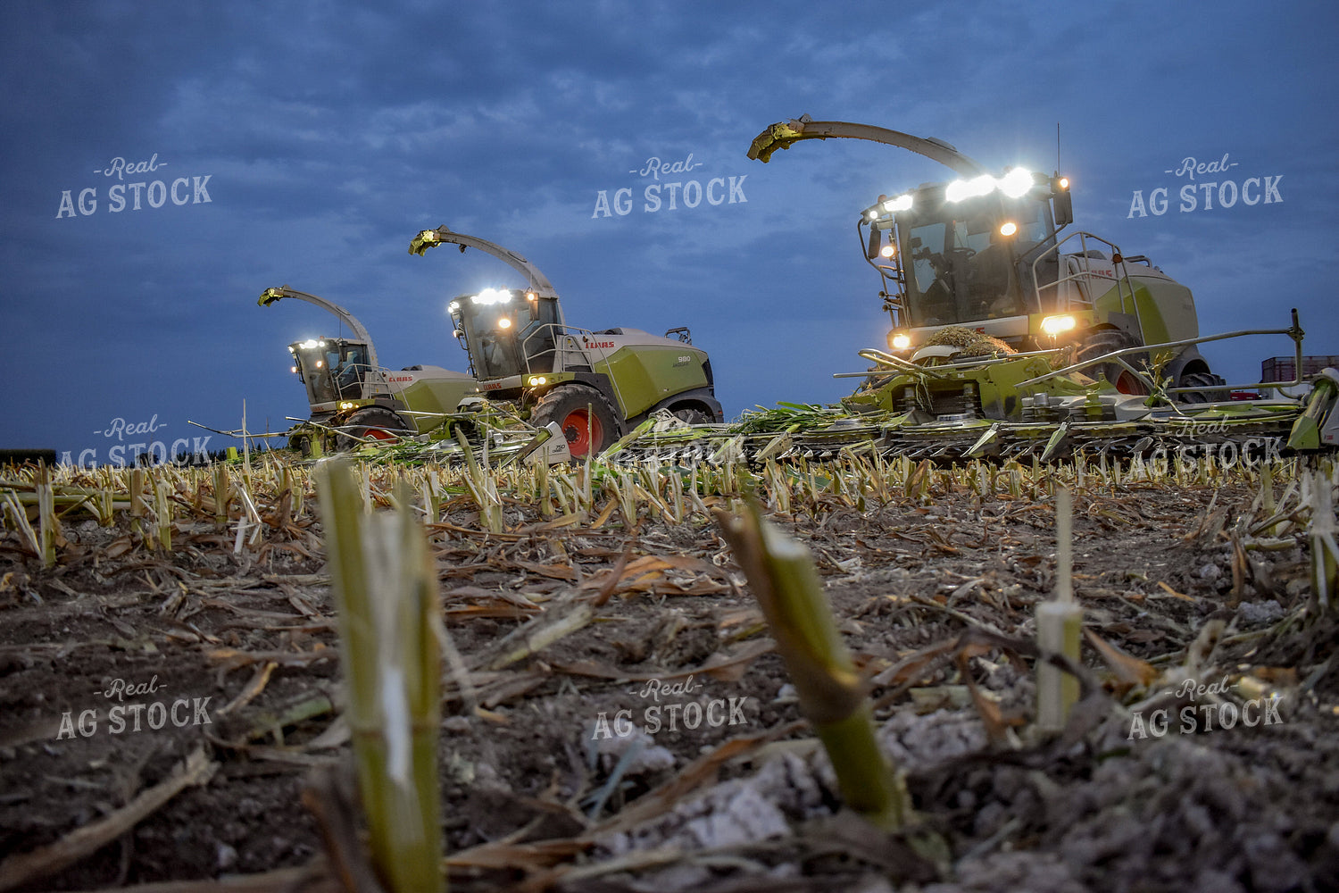 Silage Harvesters 56216