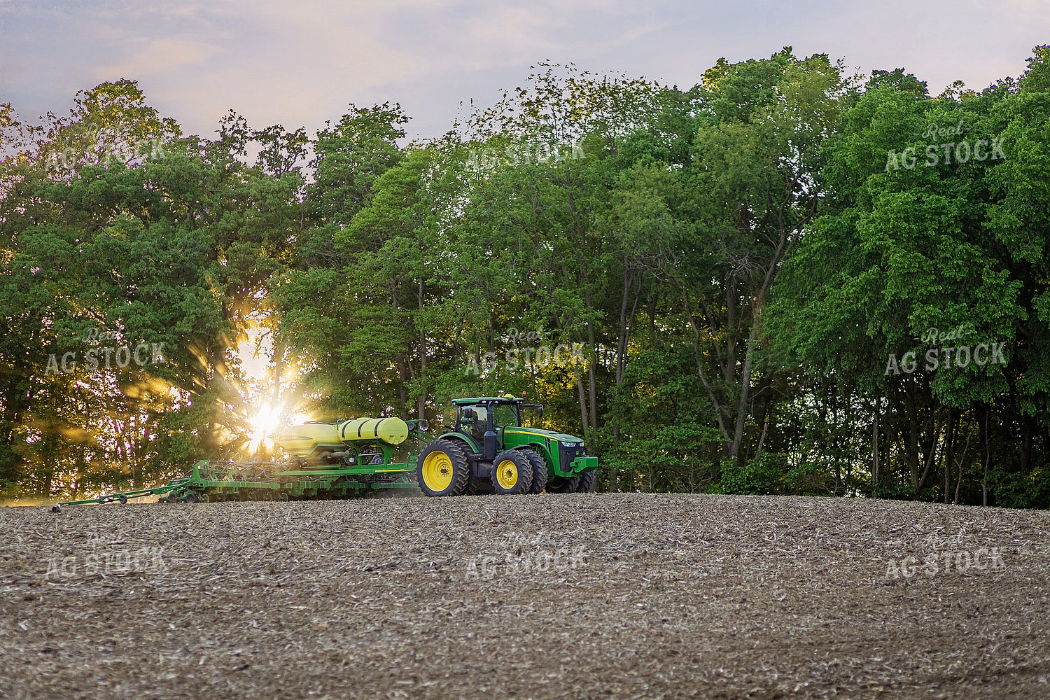 Planting 93253