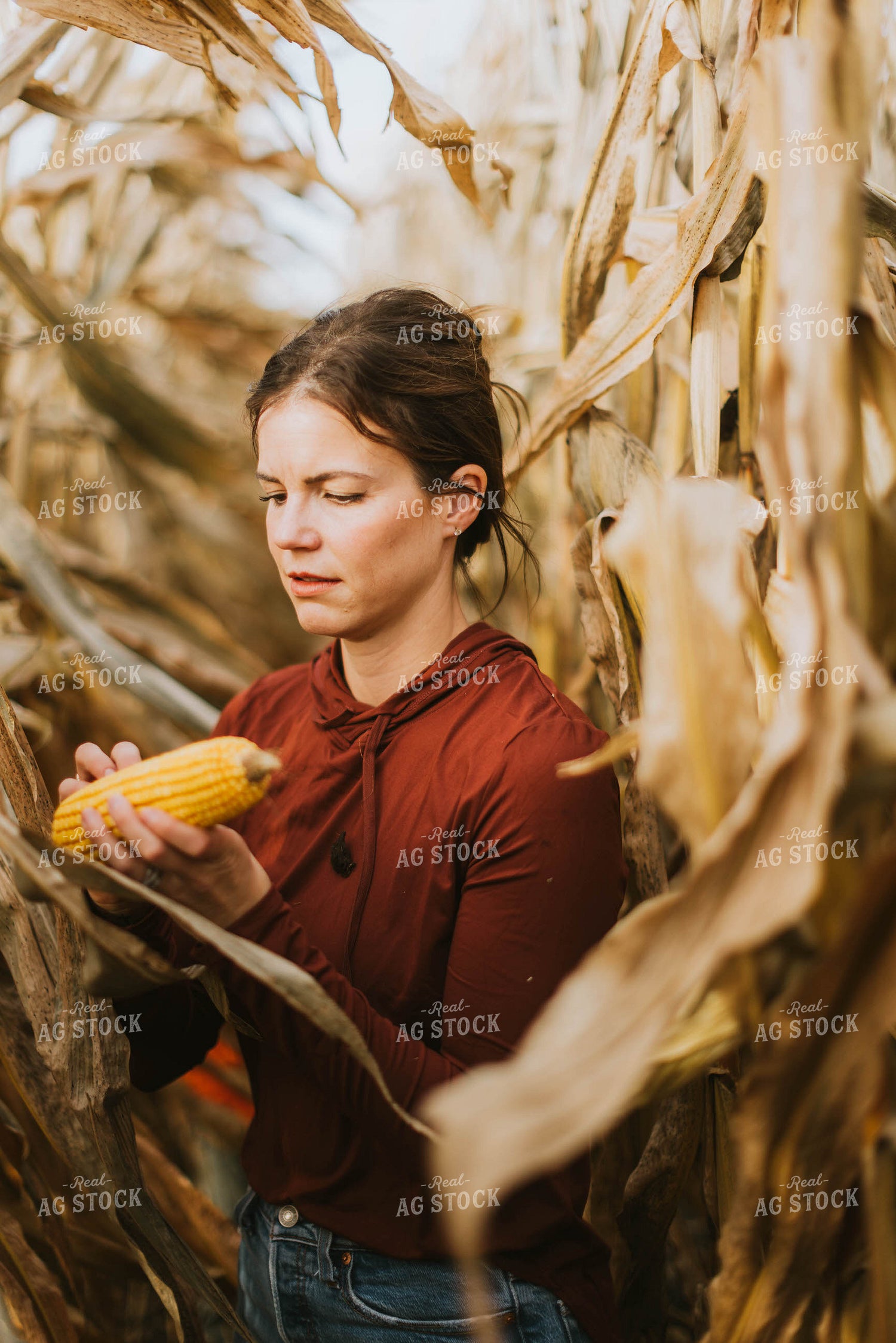 Female Farmer Checking Corn 8510